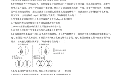 广东省名校教研联盟2023-2024学年高三下学期5月押题考试生物Word版含解析(1)_2024年6月(1)_026月合集_2024名校教研联盟高三下学期5月押题考试(新高考卷)