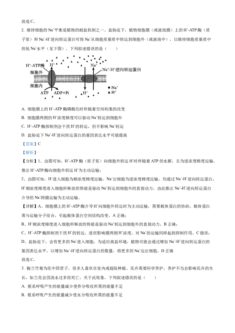 2024年新课标甘肃高考生物试卷（解析版）_高考真题全网收集_生物学_2024年新高考甘肃卷生物高考真题解析（参考版）