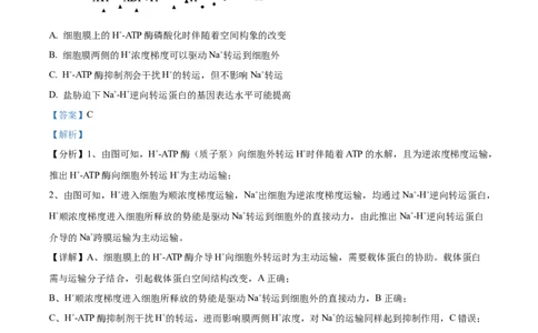 2024年新课标甘肃高考生物试卷（解析版）_高考真题全网收集_生物学_2024年新高考甘肃卷生物高考真题解析（参考版）