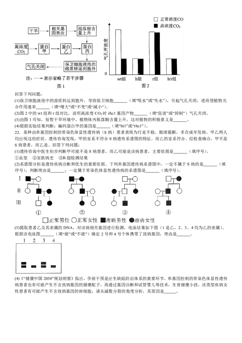 湖北生物-试题-p_近10年高考真题汇编（必刷）_2024年高考真题_高考真题（截止6.29）_湖北卷副科（6科全）