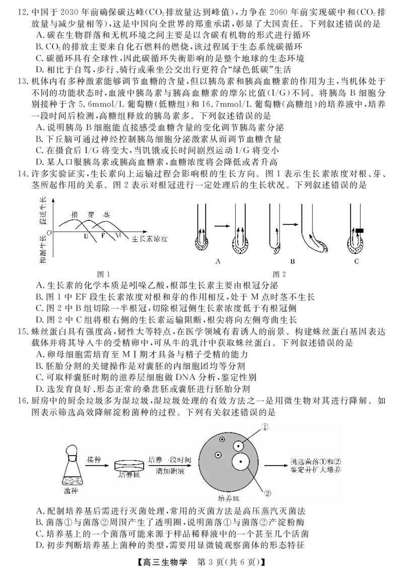 广东省湛江市第一中学2023-2024学年高三上学期开学考试生物(1)_2023年8月_028月合集_2024届广东省湛江市第一中学高三上学期开学考试