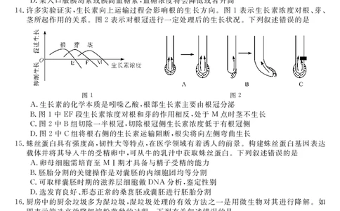 广东省湛江市第一中学2023-2024学年高三上学期开学考试生物(1)_2023年8月_028月合集_2024届广东省湛江市第一中学高三上学期开学考试