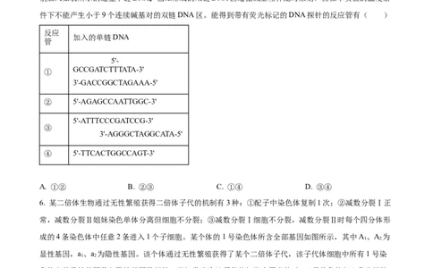 精品解析：2024年新课标高考真题山东卷生物（原卷版）_高考真题全网收集_生物学_精品解析：2024年新高考山东卷生物高考真题解析（参考版）