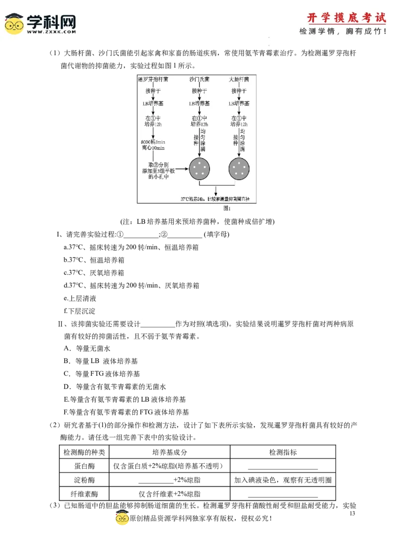 生物-2024届新高三开学摸底考试卷（全国通用新教材）02(解析版)_2024届新高三开学摸底考试卷_生物-2024届新高三开学摸底考试卷_生物-2024届新高三开学摸底考试卷（全国通用，新教材）02