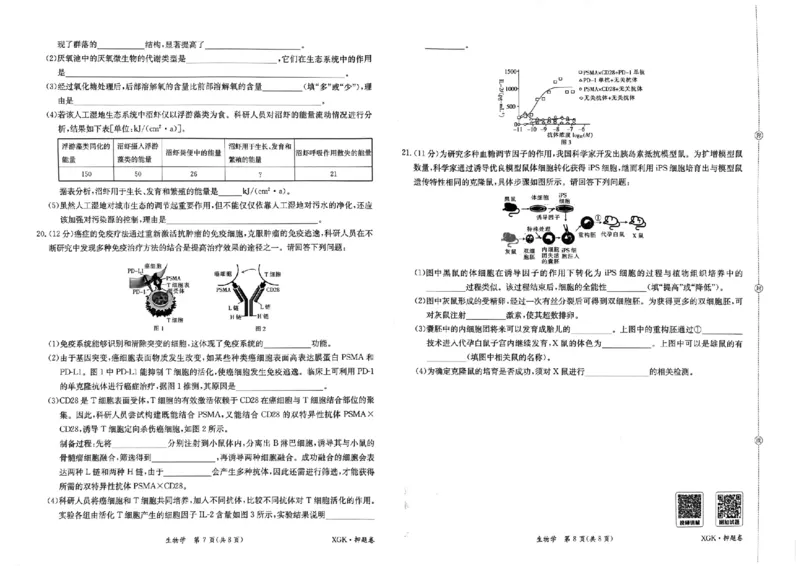 押题卷_生物_2024高考押题卷_52024金太阳全系列_（新高考版）jty临考预测押题密卷_金太阳卷霸临考押题卷
