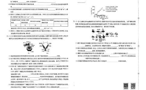 押题卷_生物_2024高考押题卷_52024金太阳全系列_（新高考版）jty临考预测押题密卷_金太阳卷霸临考押题卷