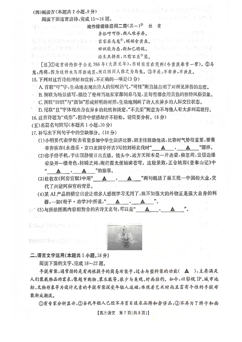 高三语文_2025年11月_251125福建省金太阳高三11月第一学期半期联考（全科）（26-10-105C）_1209215425_试卷