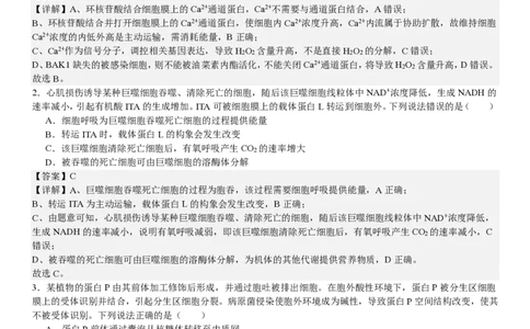 山东生物-答案-p_近10年高考真题汇编（必刷）_2024年高考真题_高考真题（截止6.29）_山东卷副科（6科全）