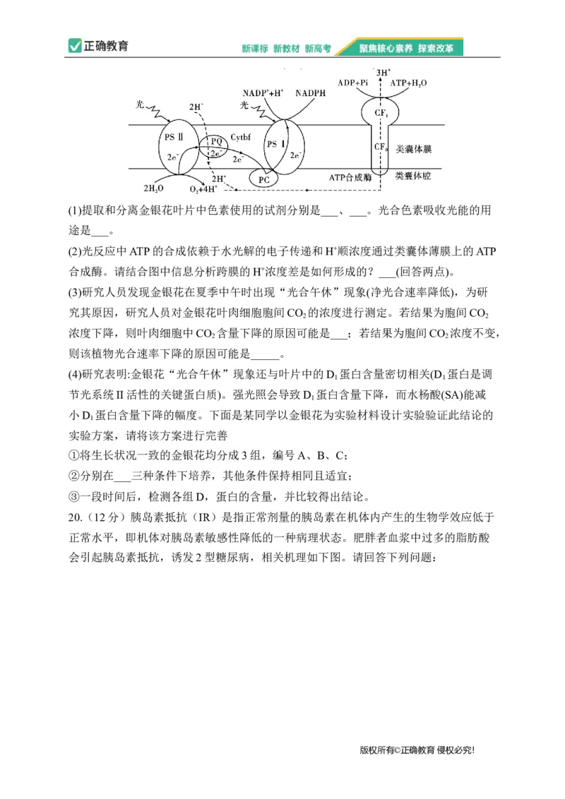 2023届新高考生物金榜猜题卷河北专版_2023高考押题卷_正确教育金榜猜题卷_（新高考）正确教育丨金榜猜题卷_新高考生物