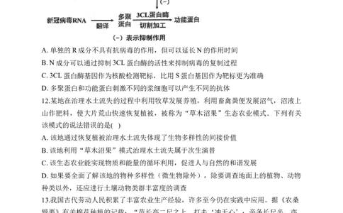 2023届新高考生物金榜猜题卷河北专版_2023高考押题卷_正确教育金榜猜题卷_（新高考）正确教育丨金榜猜题卷_新高考生物