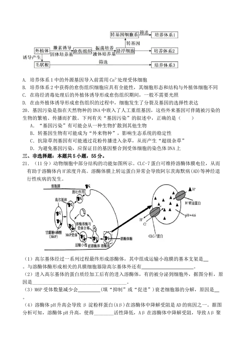 辽宁省七校协作体2026届高三上学期期初联考试题生物Word版含答案_2025年9月_250905辽宁省七校协作体2026届高三上学期期初联考（全科）