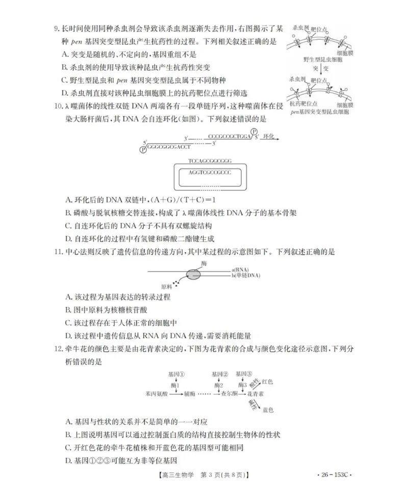 生物学_扫描版(1)_2026年1月_260103河北省邢台市2025-2026学年高三上学期第三次月考（全科）_河北省邢台市2025-2026学年高三上学期第三次月考生物试题（含答案）