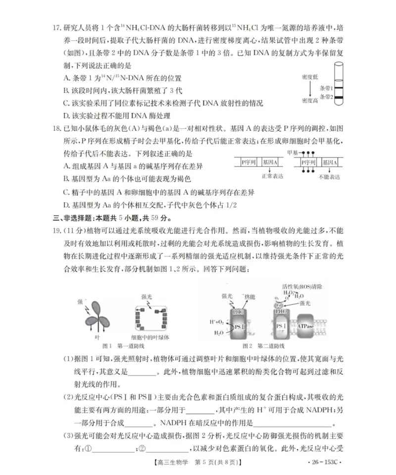 生物学_扫描版(1)_2026年1月_260103河北省邢台市2025-2026学年高三上学期第三次月考（全科）_河北省邢台市2025-2026学年高三上学期第三次月考生物试题（含答案）