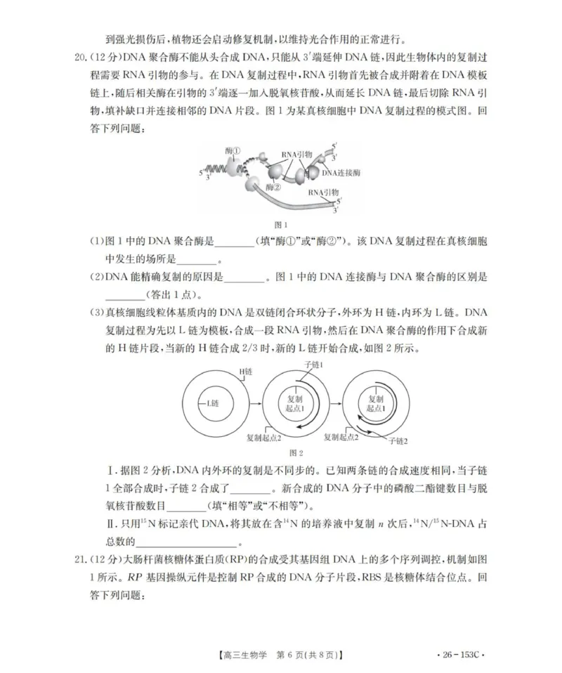 生物学_扫描版(1)_2026年1月_260103河北省邢台市2025-2026学年高三上学期第三次月考（全科）_河北省邢台市2025-2026学年高三上学期第三次月考生物试题（含答案）