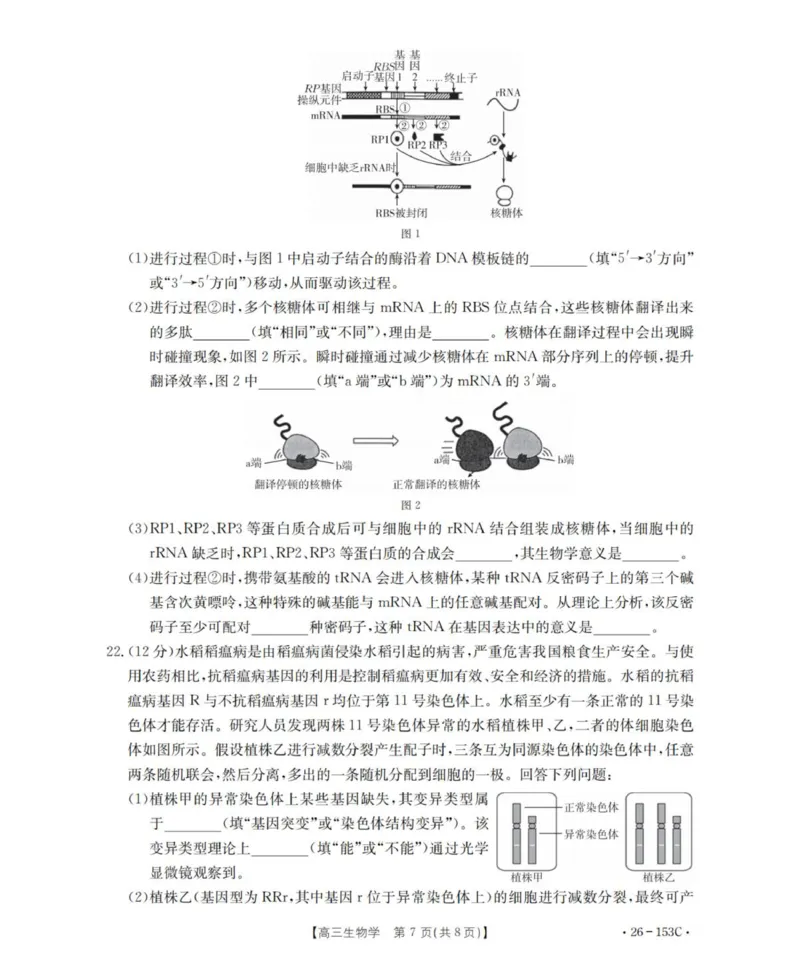 生物学_扫描版(1)_2026年1月_260103河北省邢台市2025-2026学年高三上学期第三次月考（全科）_河北省邢台市2025-2026学年高三上学期第三次月考生物试题（含答案）