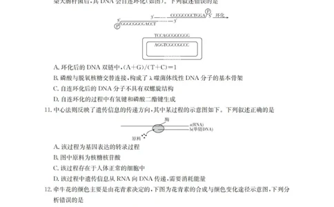 生物学_扫描版(1)_2026年1月_260103河北省邢台市2025-2026学年高三上学期第三次月考（全科）_河北省邢台市2025-2026学年高三上学期第三次月考生物试题（含答案）