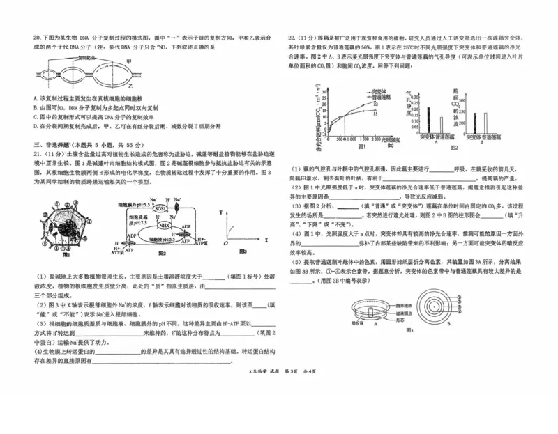 黑龙江省牡丹江市第一高级中学2026届高三上学期9月月考+生物_2025年9月_250928黑龙江省牡丹江市第一高级中学2026届高三上学期9月月考（全科）