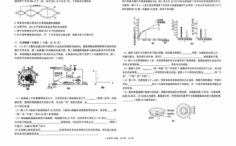 黑龙江省牡丹江市第一高级中学2026届高三上学期9月月考+生物_2025年9月_250928黑龙江省牡丹江市第一高级中学2026届高三上学期9月月考（全科）
