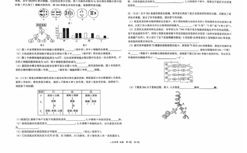 黑龙江省牡丹江市第一高级中学2026届高三上学期9月月考+生物_2025年9月_250928黑龙江省牡丹江市第一高级中学2026届高三上学期9月月考（全科）