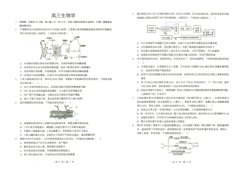 湖北省2026届高三上学期元月调考生物试卷（无答案）(1)_2026年1月_260129湖北省2025-2026学年第一学期高三元月调考第二次联考（全科）