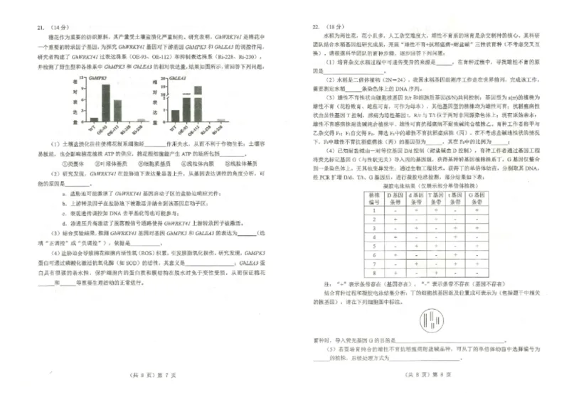 湖北省2026届高三上学期元月调考生物试卷（无答案）(1)_2026年1月_260129湖北省2025-2026学年第一学期高三元月调考第二次联考（全科）