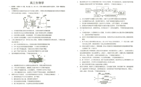 湖北省2026届高三上学期元月调考生物试卷（无答案）(1)_2026年1月_260129湖北省2025-2026学年第一学期高三元月调考第二次联考（全科）