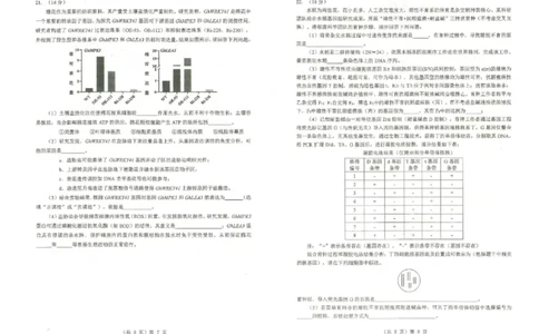 湖北省2026届高三上学期元月调考生物试卷（无答案）(1)_2026年1月_260129湖北省2025-2026学年第一学期高三元月调考第二次联考（全科）