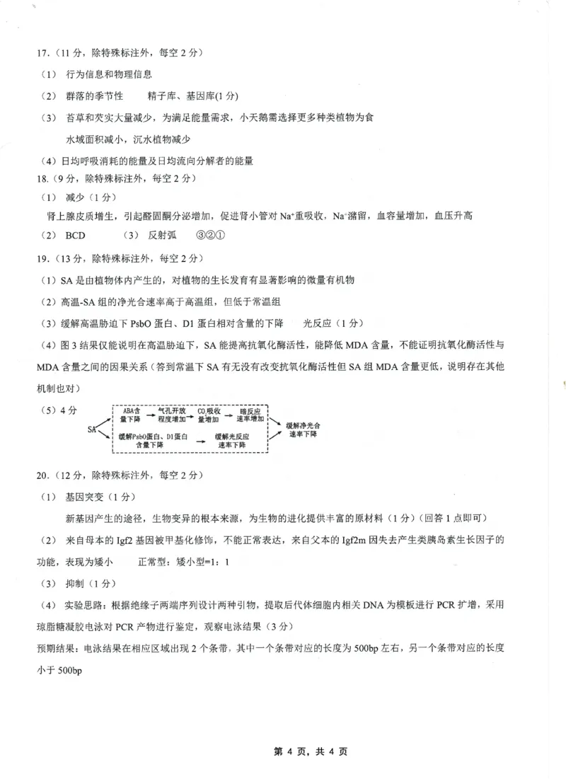 高2025届2024-2025学年（下）高考模拟考试（二）生物答案_2025年5月_250527重庆市育才中学高2025届2024-2025学年（下）高考模拟考试（二）（全科）