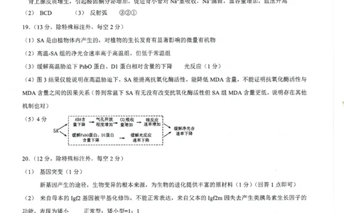 高2025届2024-2025学年（下）高考模拟考试（二）生物答案_2025年5月_250527重庆市育才中学高2025届2024-2025学年（下）高考模拟考试（二）（全科）
