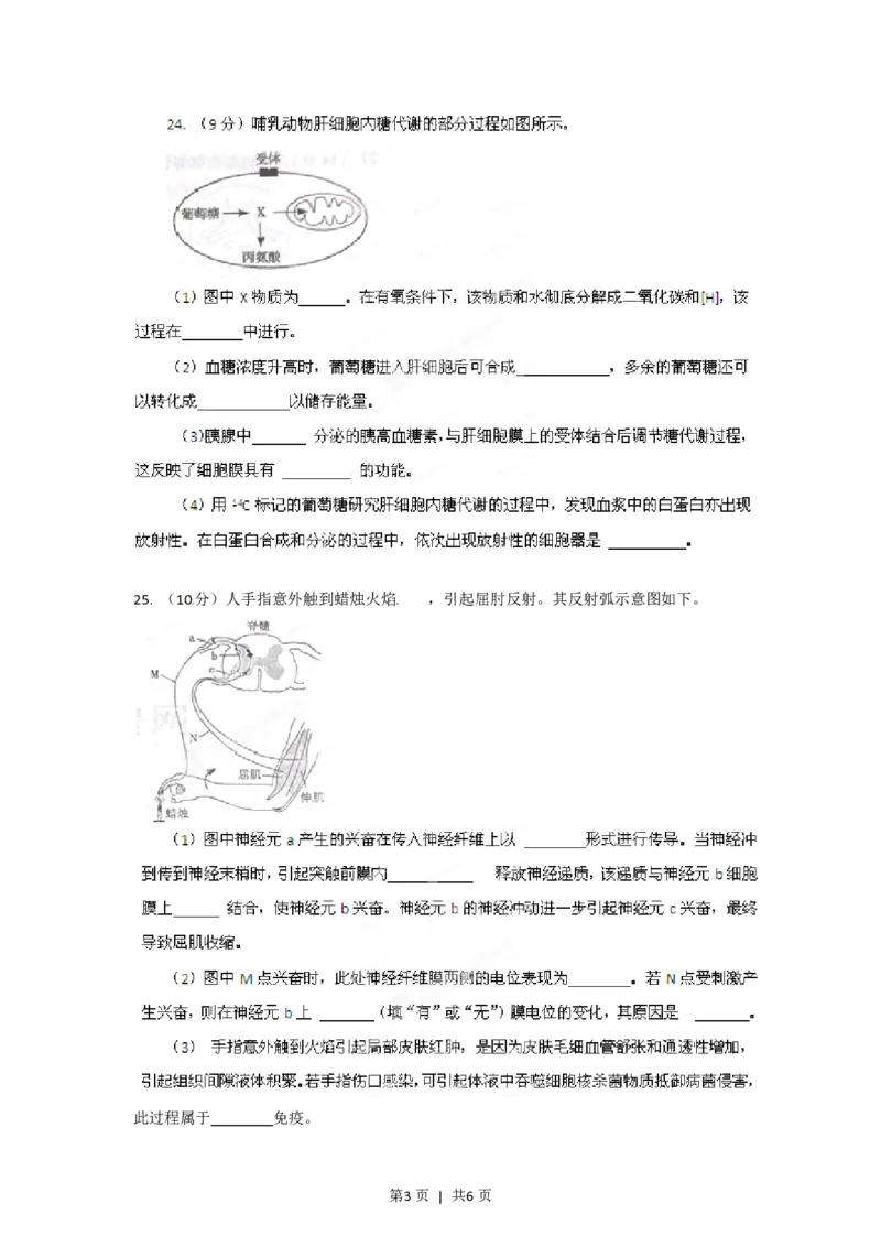 2012年高考生物试卷（山东）（空白卷）_生物历年高考真题_新&middot;PDF版2008-2025&middot;高考生物真题_生物（按省份分类）2008-2025_2008-2025&middot;（山东）生物高考真题