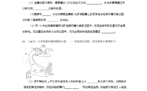 2012年高考生物试卷（山东）（空白卷）_生物历年高考真题_新&middot;PDF版2008-2025&middot;高考生物真题_生物（按省份分类）2008-2025_2008-2025&middot;（山东）生物高考真题