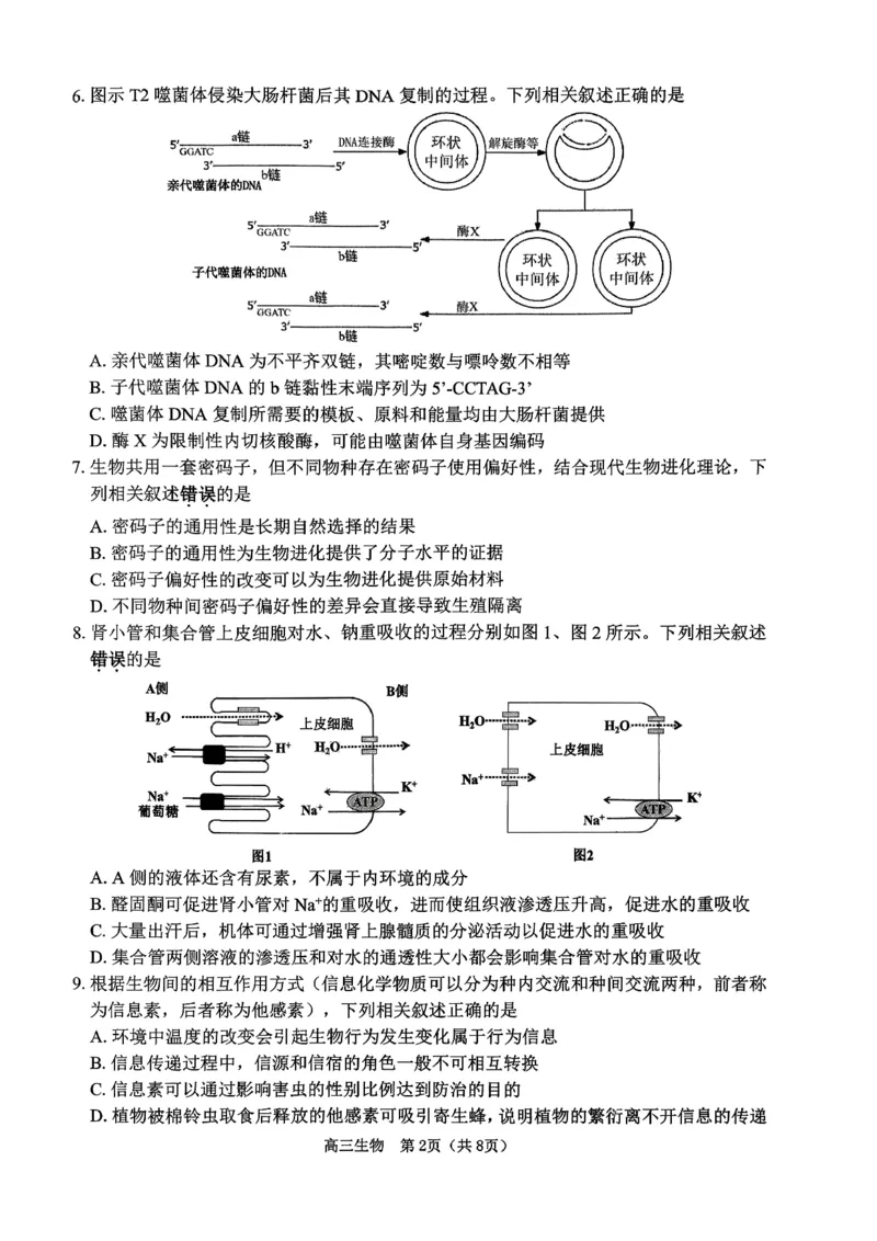 2026届苏北四市（徐州、淮安、连云港、宿迁）一模生物卷+答案(1)_2026年1月_260130江苏省2026届苏北四市（徐州、淮安、连云港、宿迁）一模（全科）