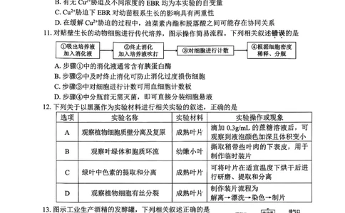 2026届苏北四市（徐州、淮安、连云港、宿迁）一模生物卷+答案(1)_2026年1月_260130江苏省2026届苏北四市（徐州、淮安、连云港、宿迁）一模（全科）