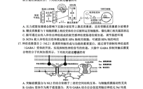 2026届苏北四市（徐州、淮安、连云港、宿迁）一模生物卷+答案(1)_2026年1月_260130江苏省2026届苏北四市（徐州、淮安、连云港、宿迁）一模（全科）