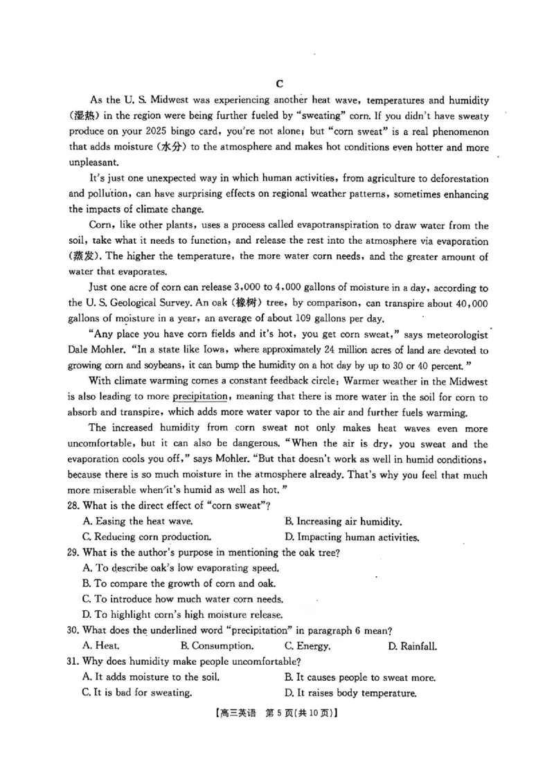 河北金太阳&ldquo;五个一&rdquo;名校联盟2026届高三年级联考英语试题含答案(1)_2026年1月_260121河北五个一名校联盟2026届高三1月联考（全科）