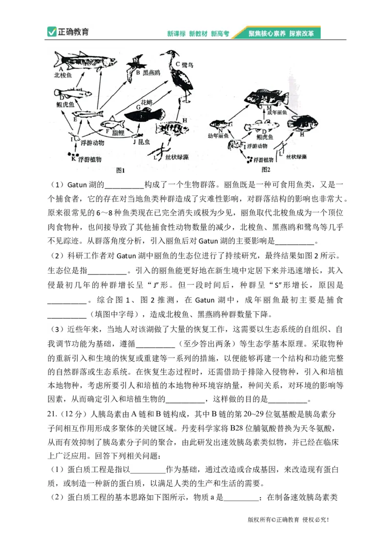 2023届新高考生物金榜猜题卷湖南专版_2023高考押题卷_正确教育金榜猜题卷_（新高考）正确教育丨金榜猜题卷_新高考生物