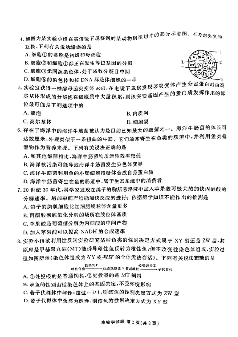 广东省衡水金卷2023-2024学年高三上学期10月份大联考生物(1)_2023年10月_0210月合集_2024届广东省衡水金卷高三上学期10月份大联考_广东省衡水金卷2024届高三上学期10月份大联考生物