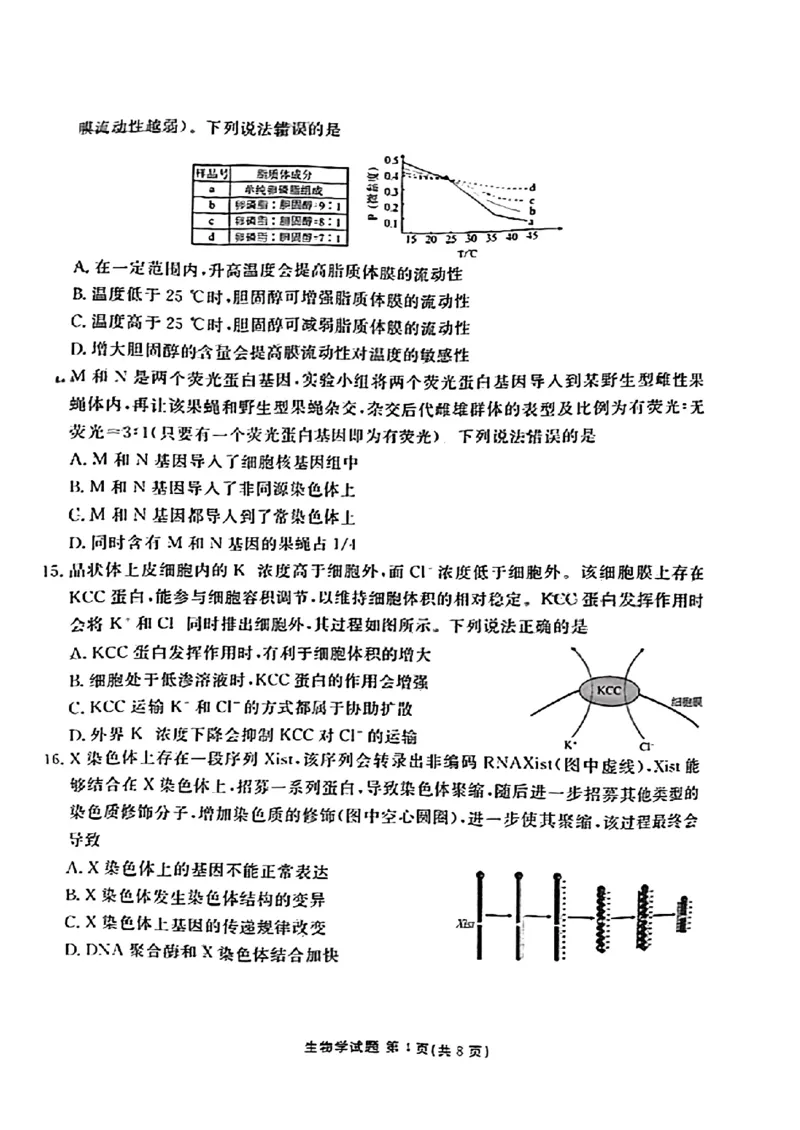 广东省衡水金卷2023-2024学年高三上学期10月份大联考生物(1)_2023年10月_0210月合集_2024届广东省衡水金卷高三上学期10月份大联考_广东省衡水金卷2024届高三上学期10月份大联考生物