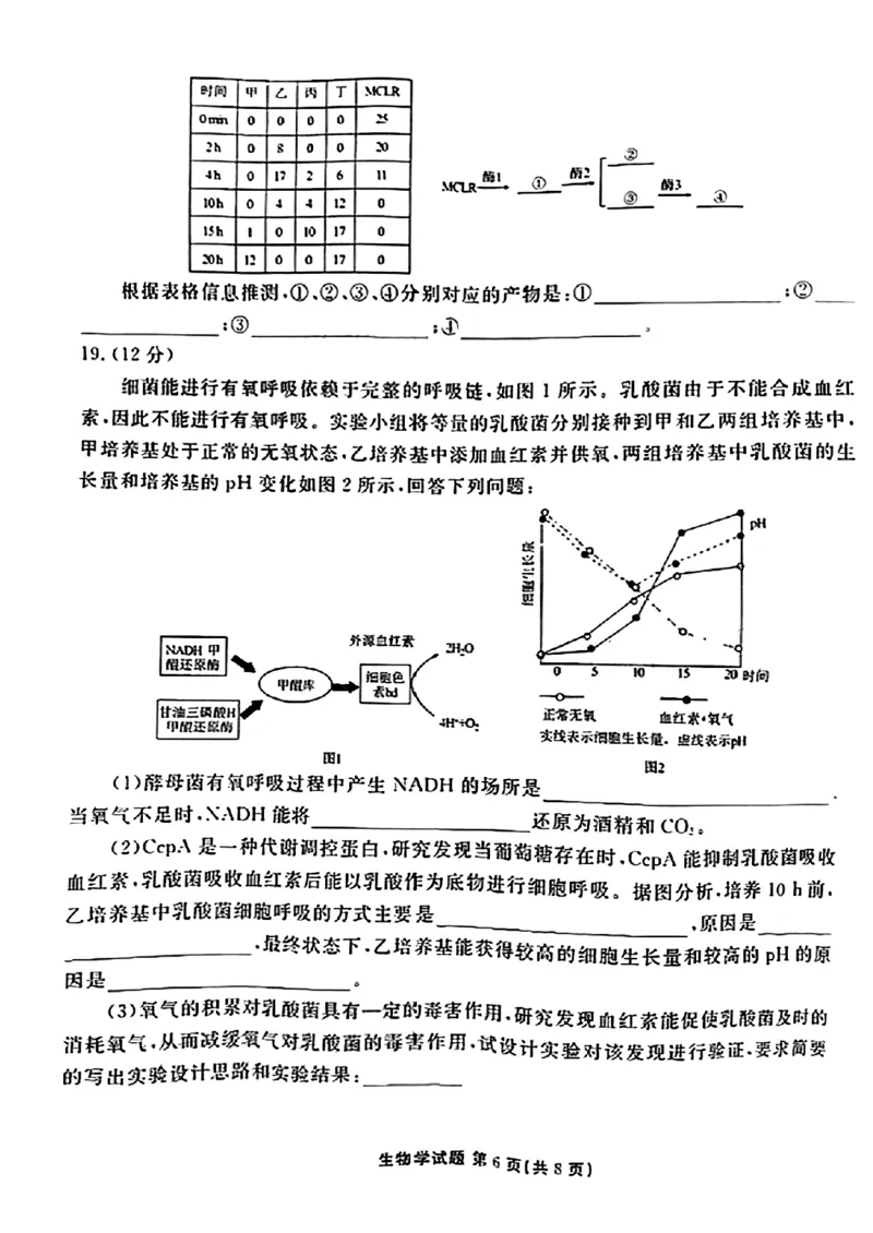 广东省衡水金卷2023-2024学年高三上学期10月份大联考生物(1)_2023年10月_0210月合集_2024届广东省衡水金卷高三上学期10月份大联考_广东省衡水金卷2024届高三上学期10月份大联考生物