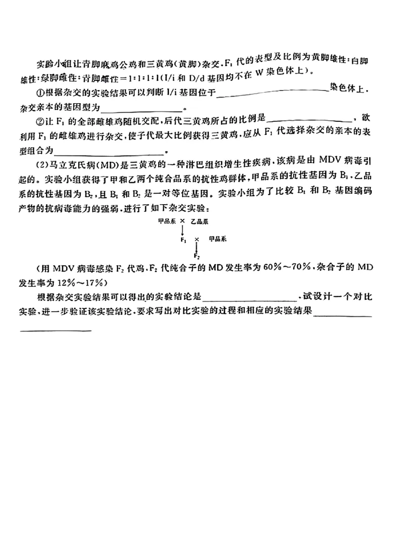 广东省衡水金卷2023-2024学年高三上学期10月份大联考生物(1)_2023年10月_0210月合集_2024届广东省衡水金卷高三上学期10月份大联考_广东省衡水金卷2024届高三上学期10月份大联考生物