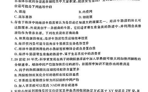 广东省衡水金卷2023-2024学年高三上学期10月份大联考生物(1)_2023年10月_0210月合集_2024届广东省衡水金卷高三上学期10月份大联考_广东省衡水金卷2024届高三上学期10月份大联考生物