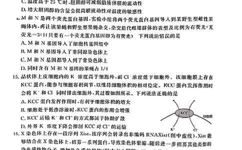广东省衡水金卷2023-2024学年高三上学期10月份大联考生物(1)_2023年10月_0210月合集_2024届广东省衡水金卷高三上学期10月份大联考_广东省衡水金卷2024届高三上学期10月份大联考生物