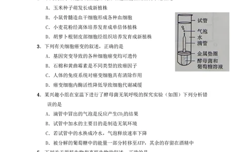 2011年高考生物试卷（山东）（解析卷）_生物历年高考真题_新&middot;PDF版2008-2025&middot;高考生物真题_生物（按年份分类）2008-2025_2011&middot;高考生物真题