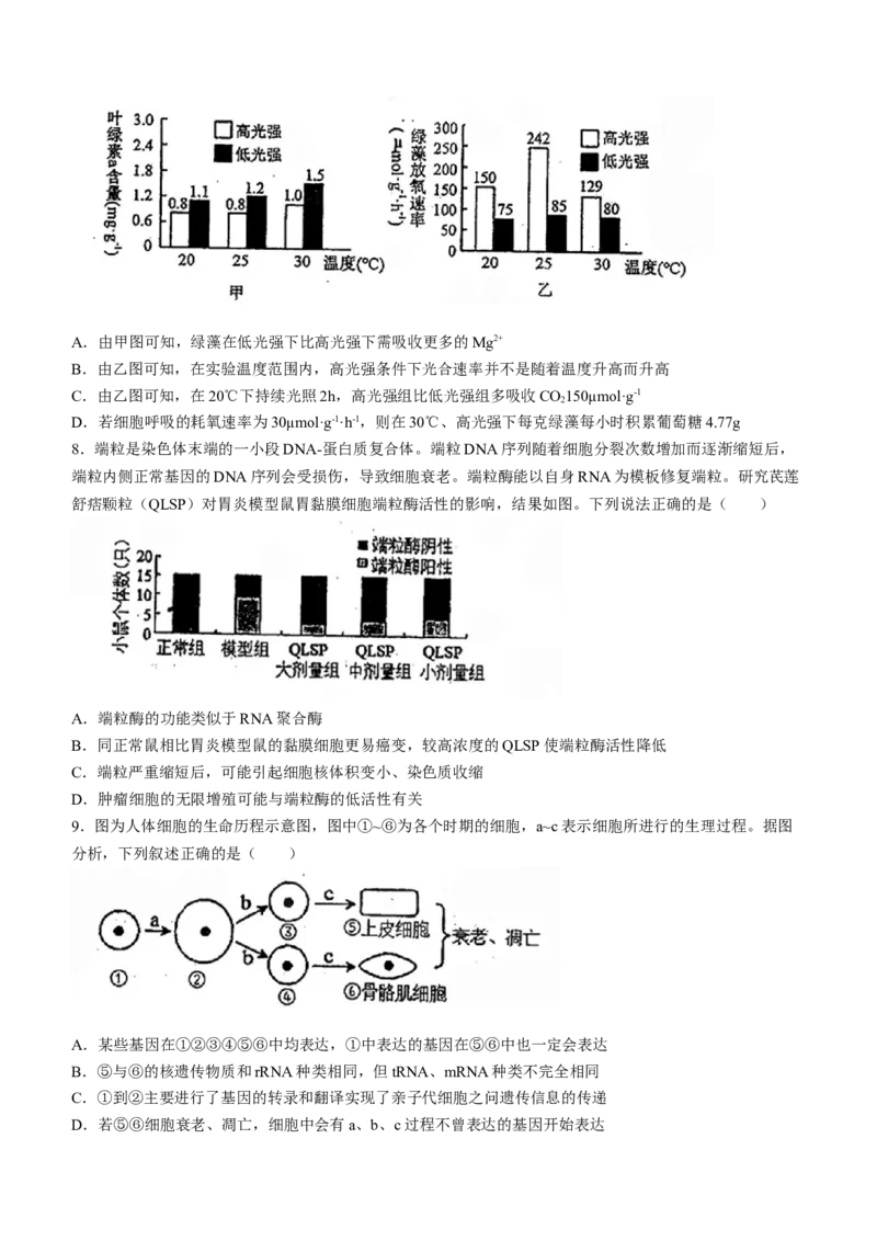 天津市南开中学2024届高三上学期第一次月考生物(1)_2023年10月_01每日更新_30号_2024届天津市南开中学高三上学期第一次月考