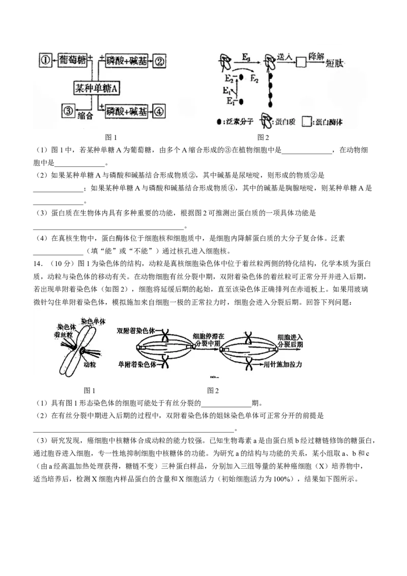 天津市南开中学2024届高三上学期第一次月考生物(1)_2023年10月_01每日更新_30号_2024届天津市南开中学高三上学期第一次月考