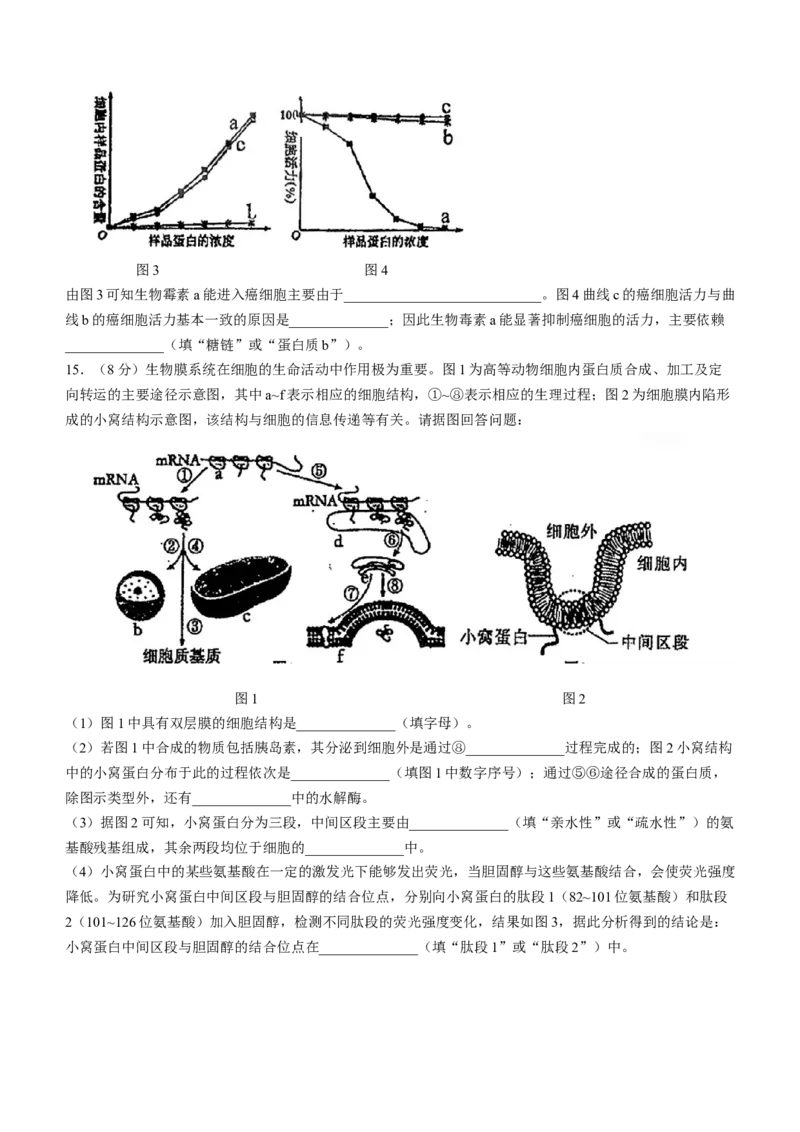 天津市南开中学2024届高三上学期第一次月考生物(1)_2023年10月_01每日更新_30号_2024届天津市南开中学高三上学期第一次月考