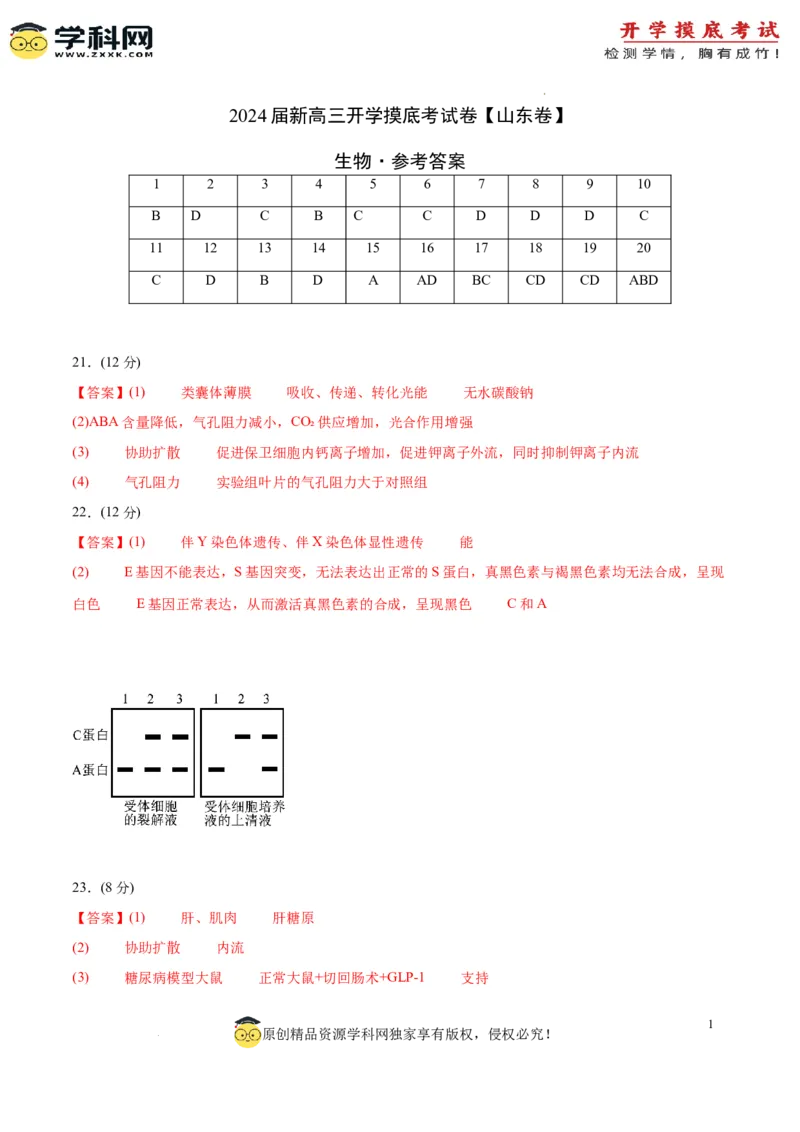 生物（山东卷）（参考答案）_2024届新高三开学摸底考试卷_生物-2024届新高三开学摸底考试卷_生物-2024届新高三开学摸底考试卷（山东卷）