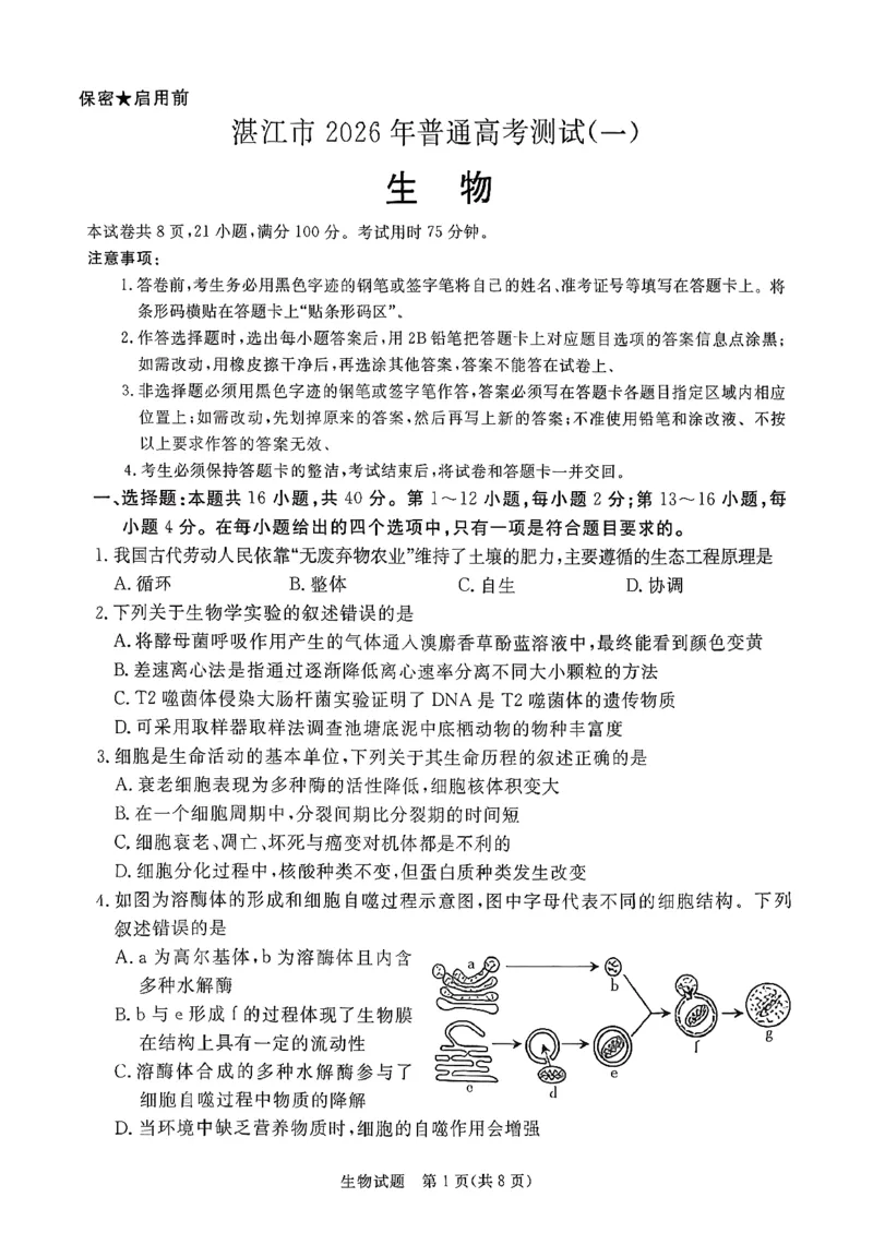 生物试卷湛江市2026年普通高考测试(一)(1)_2026年1月_260128广东省湛江市高三年级2026年高考测试（一）(湛江一模)（全科）_2026届湛江市高三上学期普通高考测试（一）生物试题含答案