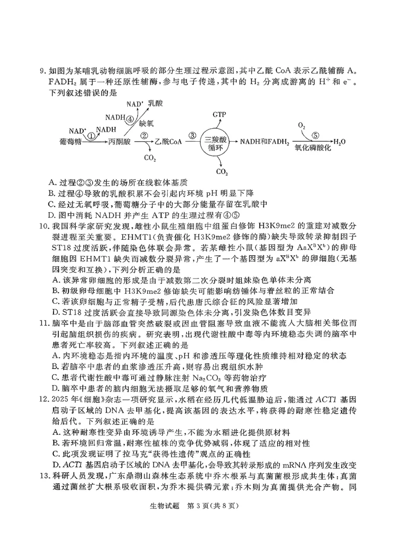 生物试卷湛江市2026年普通高考测试(一)(1)_2026年1月_260128广东省湛江市高三年级2026年高考测试（一）(湛江一模)（全科）_2026届湛江市高三上学期普通高考测试（一）生物试题含答案