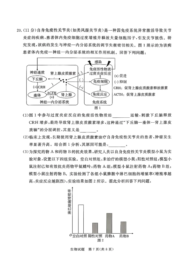 生物试卷湛江市2026年普通高考测试(一)(1)_2026年1月_260128广东省湛江市高三年级2026年高考测试（一）(湛江一模)（全科）_2026届湛江市高三上学期普通高考测试（一）生物试题含答案